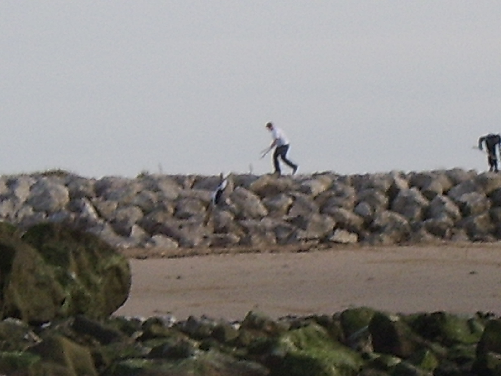 To save this picture as Windows Wallpaper - right click it - then select "Set as Background"